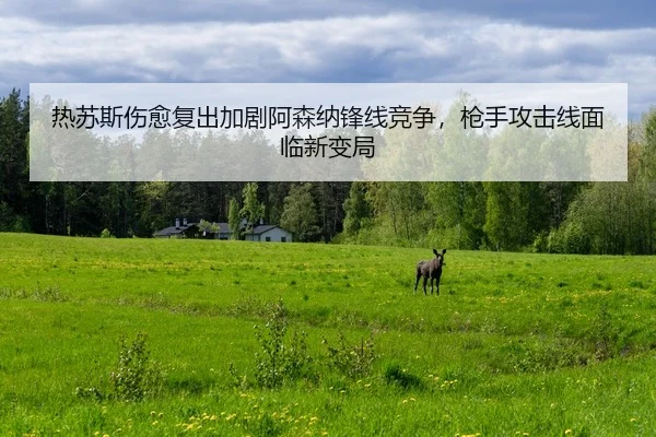 re-su-si-shang-yu-fu-chu-jia-ju-a-sen-na-feng-xian-jing-zheng-qiang-shou-gong-ji-xian-mian-lin-xin-bian-ju-3-314.jpg