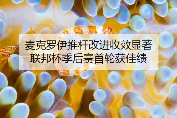麦克罗伊推杆改进收效显著 联邦杯季后赛首轮获佳绩