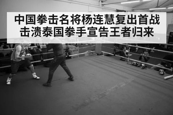 boxer training gym